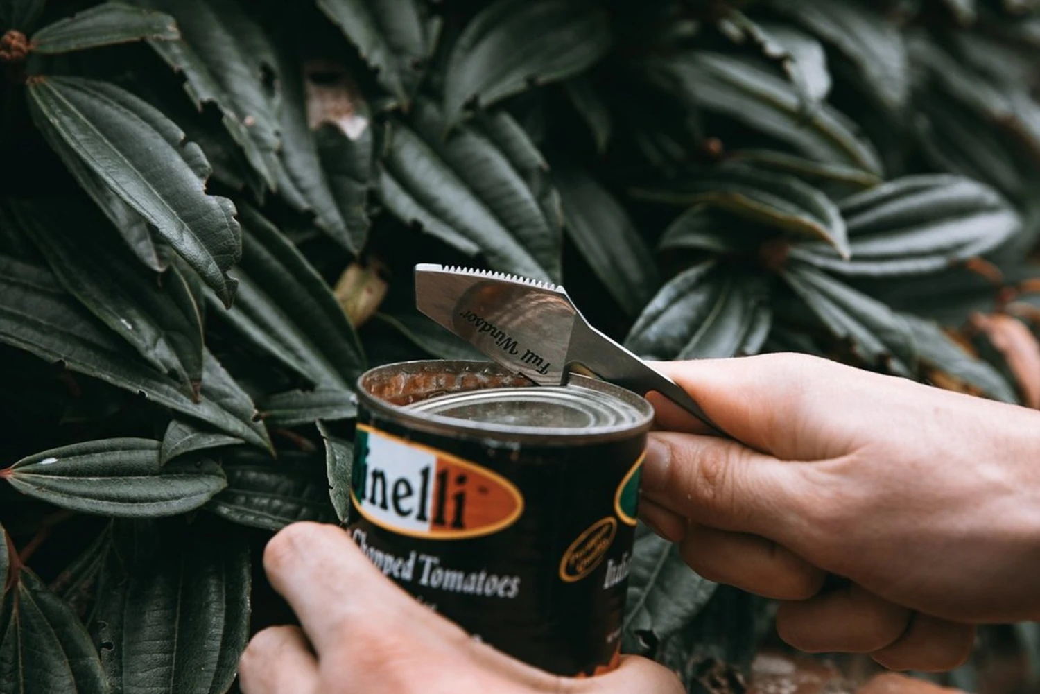 Full Windsor The Muncher 12 Full Windsor The Muncher – Image 12