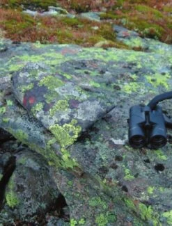 Jerven Fjellduken Hunter -Exped Soldes Magasin jervenbag hunter montain