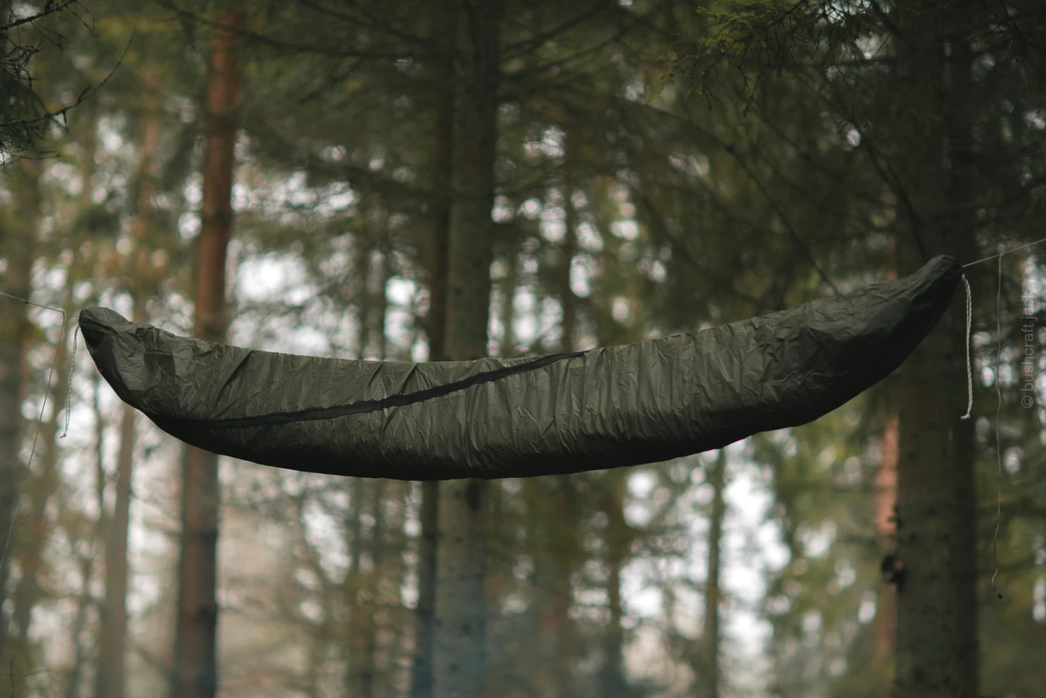 Lesovik Larva 9 Lesovik Larva – Image 9