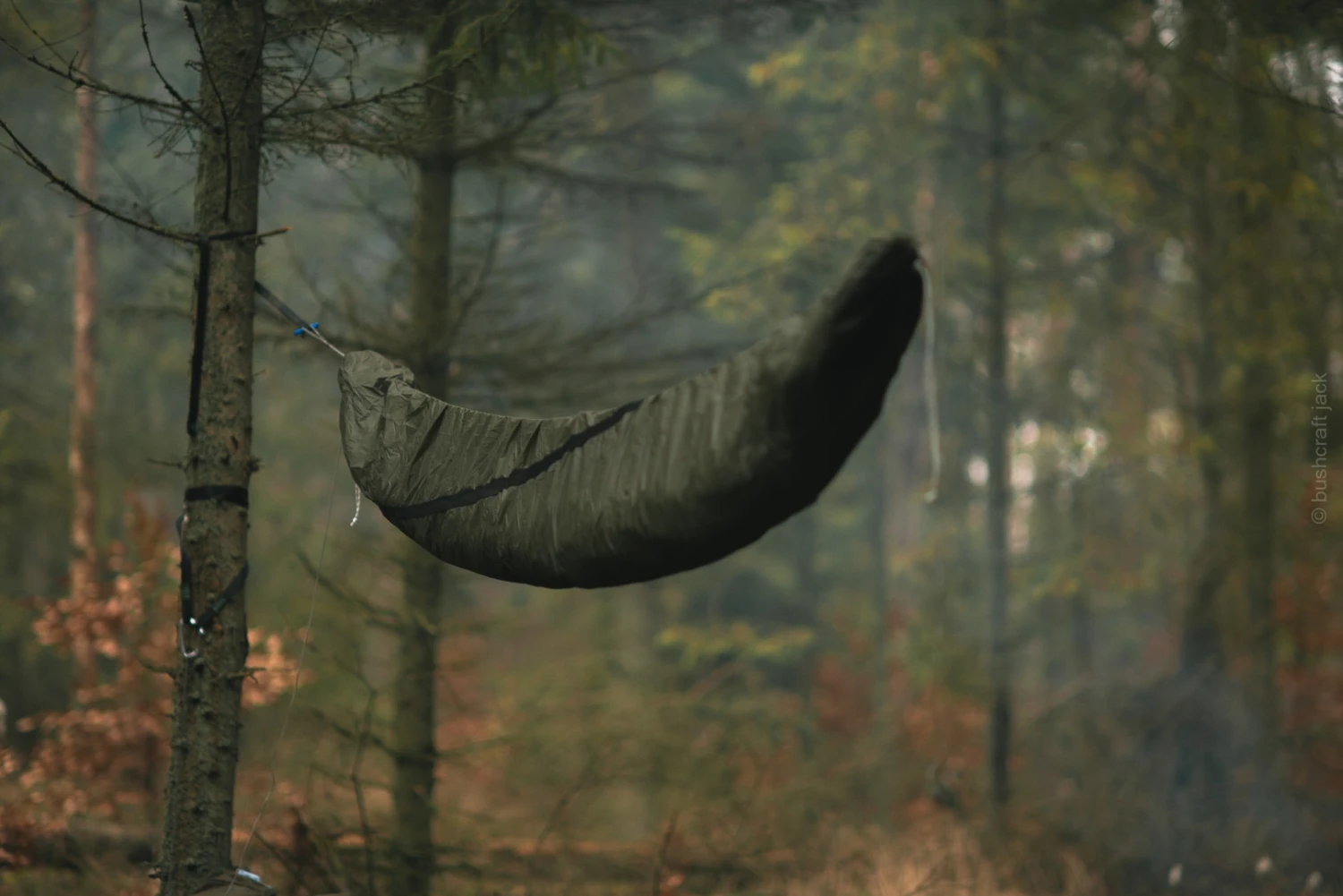 Lesovik Larva 8 Lesovik Larva – Image 8