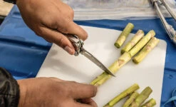 Leatherman Curl -Exped Soldes Magasin multi outil pince multifonction leatherman curl 03 1