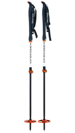 Åsnes Breidablikk BC 2-section Alloy Pole