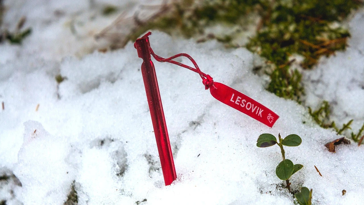 Lesovik Spig UL Peg 5 Lesovik Spig UL Peg – Image 5