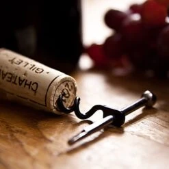 True Utility Twistick 24 True Utility Twistick -Exped Soldes Magasin tire bouchon twistick true utility 06